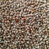 Organic Barnyard Millet Dosa Batter by Dream4Health