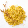 Organic Proso Millet Idli Batter by Dream4Health
