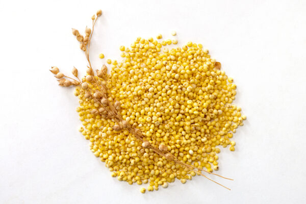 Organic Proso Millet Idli Batter by Dream4Health