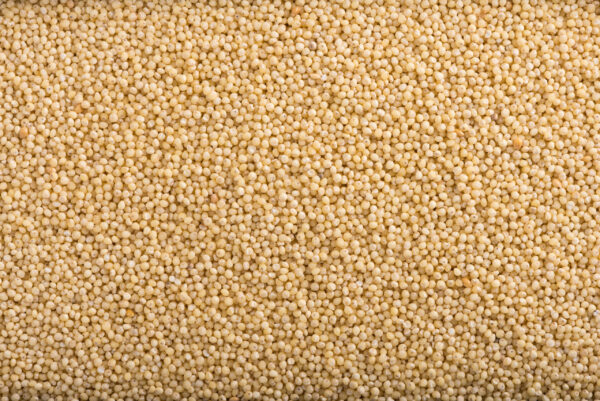 Organic Proso Millet Idli Batter by Dream4Health