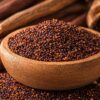 Organic Finger (Ragi) Millet Dosa Batter by Dream4Health