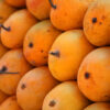 Ratnagiri Alphonso Mango