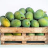 Banganapalli Mango