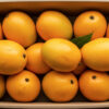Kesar Mango