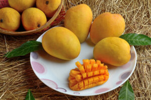 Indian Alphonso mango fruits in grass closeup Kesar Mango