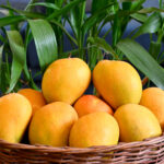 Kesar Mango