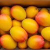 Rasalu Mango