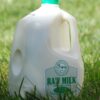 Raw Milk A1 by Valley Milk Simply Bottled