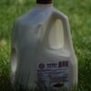Raw Milk A2 by Valley Milk Simply Bottled