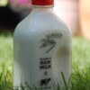 Raw Milk Half Gallon by Schoch Dairy