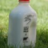 Raw Milk Half Gallon by Schoch Dairy