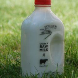 Raw Milk Half Gallon by Schoch Dairy