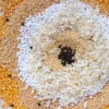 Sohum Thalipeeth Bhajani