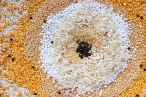 Sohum Thalipeeth Bhajani