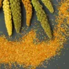 Multi Millet Dosa Batter by Shastha Foods by Shastha Foods
