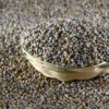 Sohum Pearl Millet/Bajara Flour