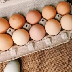 Farm Fresh Pasture-Raised Eggs (Non-GMO, Corn & Soy-Free) by Winters Fruit Tree