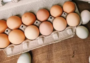 Brown and Blue Eggs Farm Fresh Pasture-Raised Eggs (Non-GMO, Corn & Soy-Free) by Winters Fruit Tree