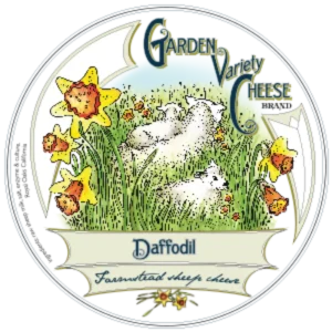 Daffodil Cheese (Aged Cheese) by Garden Variety Cheese