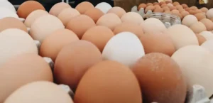 Eggs Closeup Farm Fresh Pasture-Raised Eggs (Non-GMO, Corn & Soy-Free) by Winters Fruit Tree