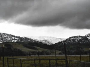 Farm in Winter Farm Fresh Pasture-Raised Eggs (Non-GMO, Corn & Soy-Free) by Winters Fruit Tree