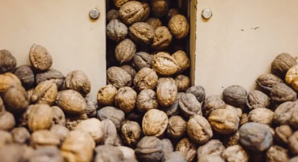 Walnut Butter - Regular by Manzanita Manor Organics