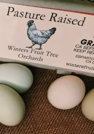 Pasture Raised Eggs Label Farm Fresh Pasture-Raised Eggs (Non-GMO, Corn & Soy-Free) by Winters Fruit Tree