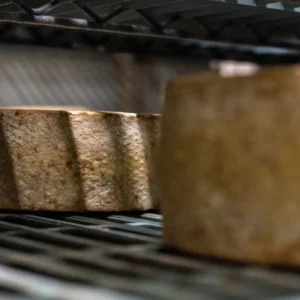 East of Edam Cheese by Schoch Dairy