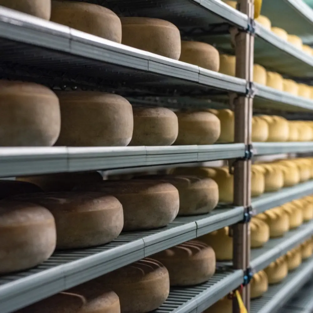 Junipero Cheese by Schoch Dairy