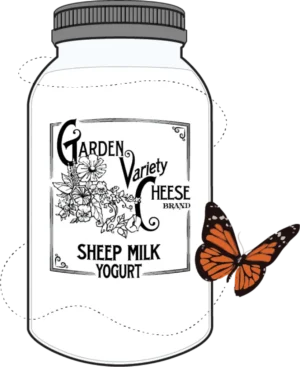Sheep Milk Yogurt by Garden Variety Cheese
