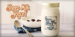 Sheep Milk Yogurt by Garden Variety Cheese