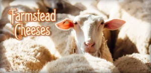 Hollyhock Cheese (Aged Cheese) by Garden Variety Cheese