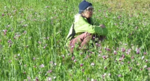 Walnut Butter - Regular by Manzanita Manor Organics