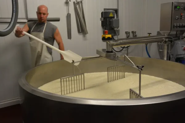 Mt. Toro Tomme Cheese by Schoch Dairy