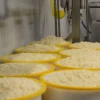 Mt. Toro Tomme Cheese by Schoch Dairy