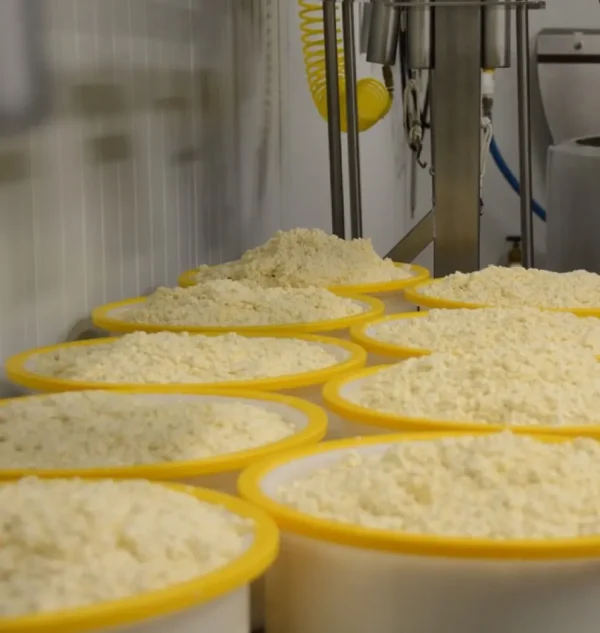 Mt. Toro Tomme Cheese by Schoch Dairy