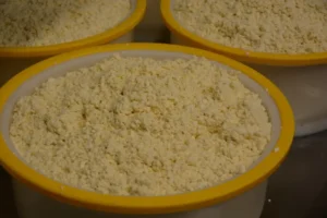 Junipero Cheese by Schoch Dairy