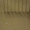 Mt. Toro Tomme Cheese by Schoch Dairy