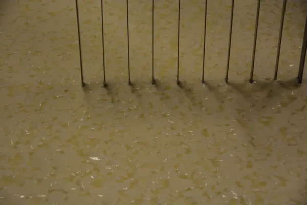 Mt. Toro Tomme Cheese by Schoch Dairy