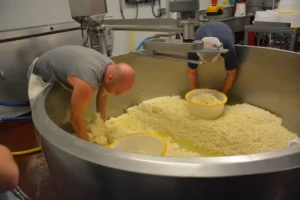 Junipero Cheese by Schoch Dairy