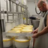 Mt. Toro Tomme Cheese by Schoch Dairy