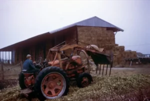 Junipero Cheese by Schoch Dairy