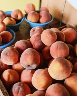 234835218_818407065703475_6696683121726254376_n Sustainably Grown Fruits by Winters Fruit Tree