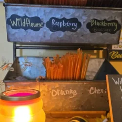 Honey Sticks by The Honey Ladies