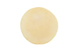 Appalam #2 (Papad/Dried Wafers) by Shastha Foods