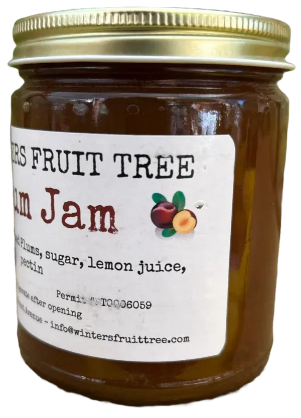 Plum Jam by Winters Fruit Tree