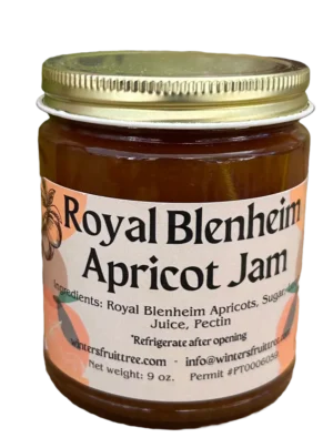 Royal Blenheim Apricot Jam - Front Royal Blenheim Apricot Jam by Winters Fruit Tree