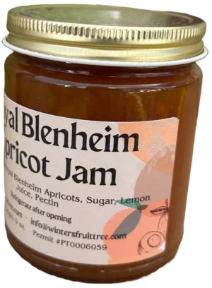 Royal Blenheim Apricot Jam - Right Royal Blenheim Apricot Jam by Winters Fruit Tree