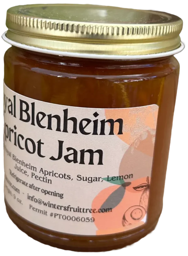 Royal Blenheim Apricot Jam by Winters Fruit Tree
