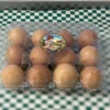 Free-Range Eggs with High-Quality, Organic Feed by Tortilleria La Milpa